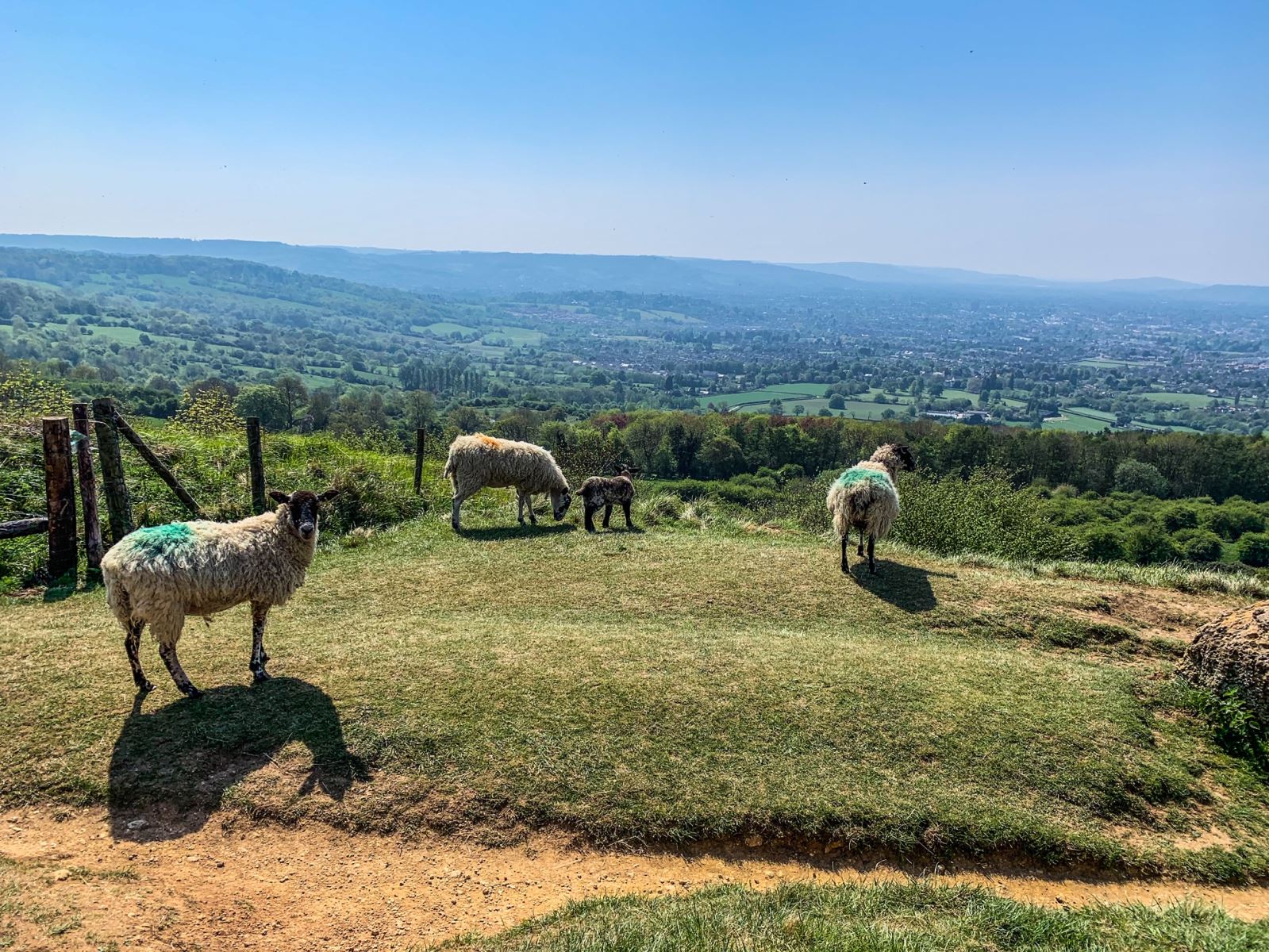 Cotswolds Way on Cleeve Hill overlooking Cheltenham